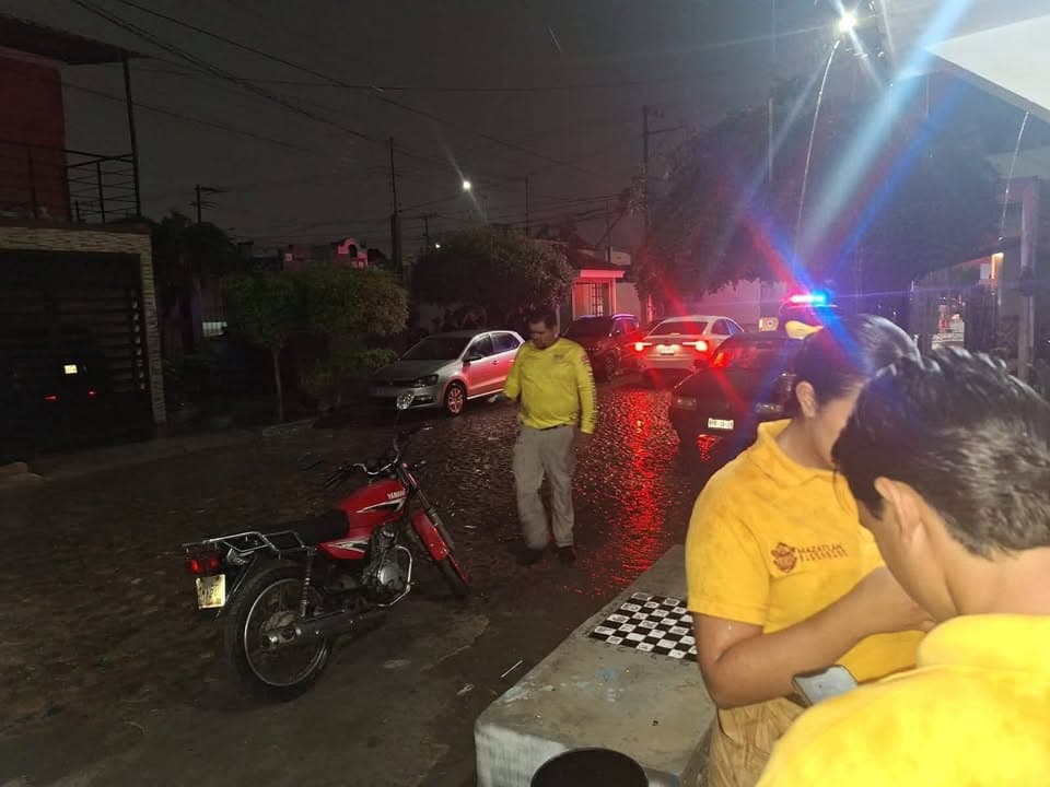 Atiende Ecología Municipal reporte de maltrato animal en Misiones