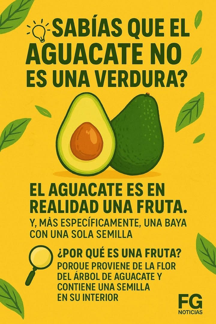¿SABÍAS QUE EL AGUACATE ES UNA FRUTA?