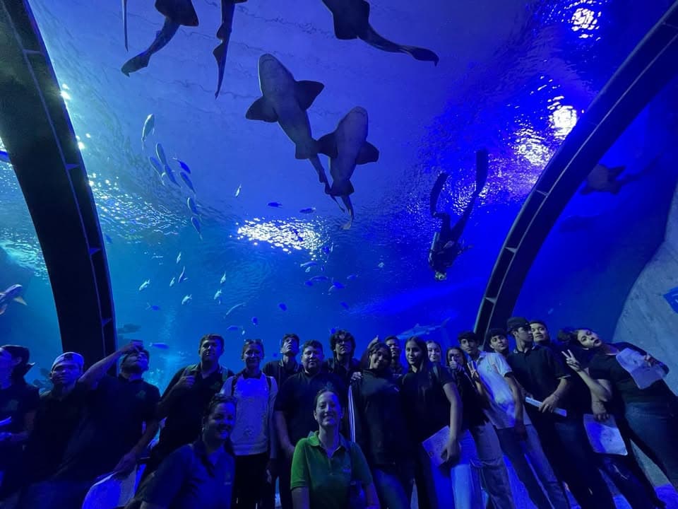 Gran Acuario Mazatlán un aula viva para el aprendizaje