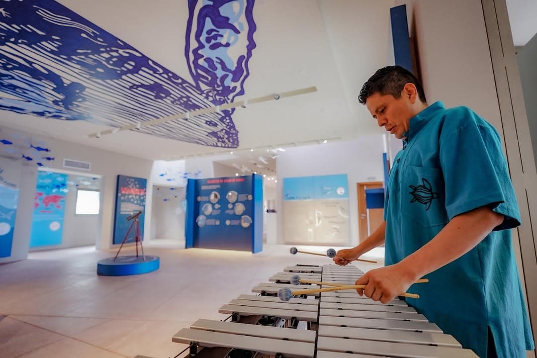 *Max Carreón inunda el Museo Casa del Marino con la melancolía