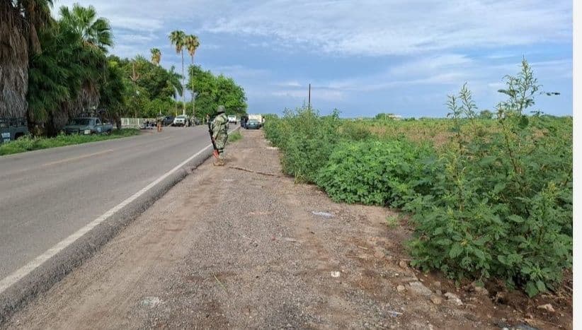 Hallan asesinados a balazos a dos hombres que habían sido ‘levantados’ el lunes en un centro de rehabilitación de La Palma, Navo...