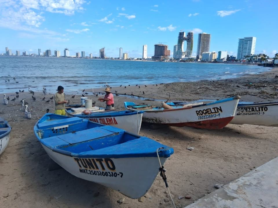 Pescadores de Playa Norte registran capturas de 3 kilos al día