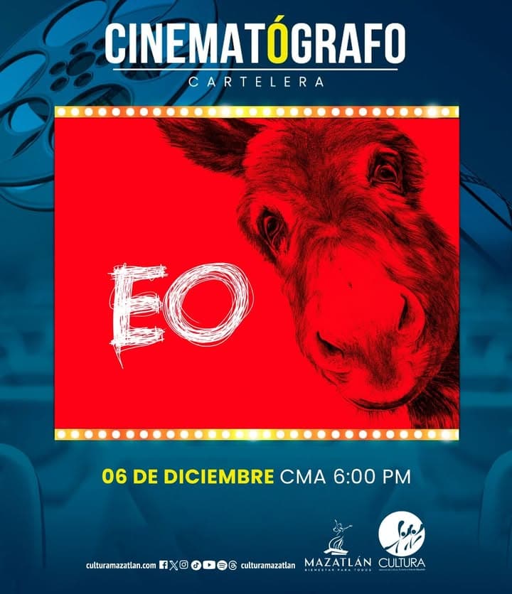 *Cine gratis: La vida de “EO” este sábado en el Cinematógrafo Marco Lugo*